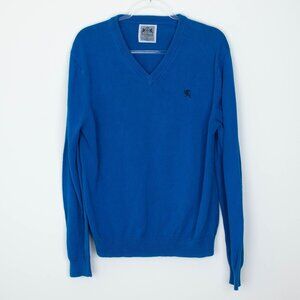 Vintage Express Mens V Neck Cotton Sweater Size L Blue Logo Preppy Academia Y2K